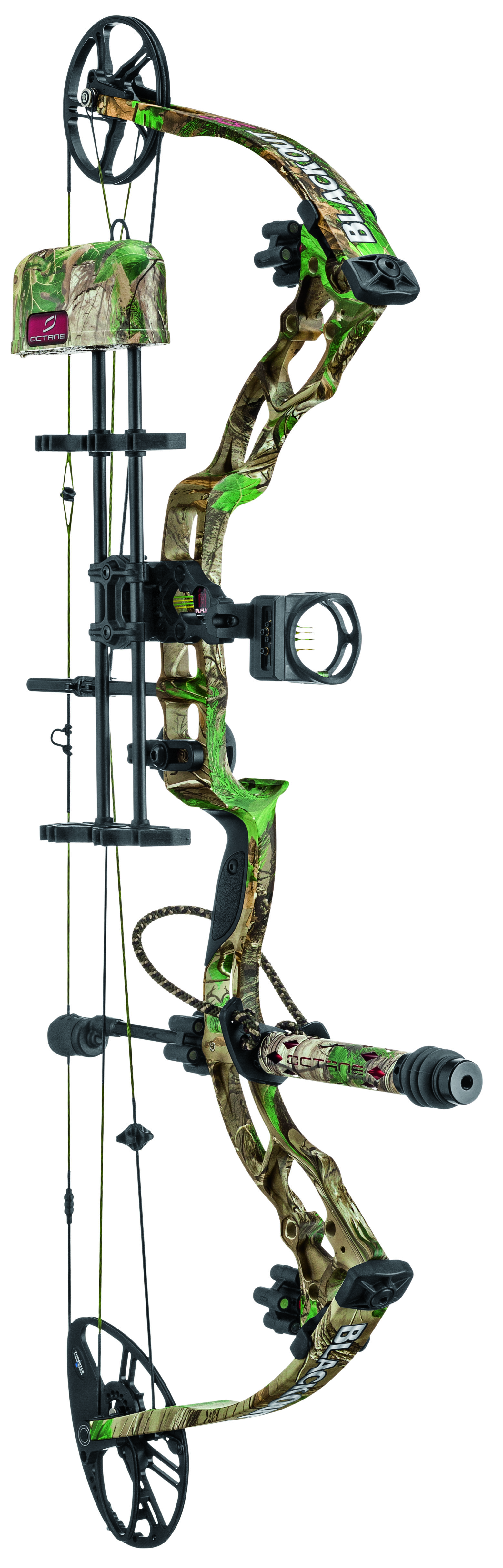 BlackOut® SS Compound Bow Package from Bass Pro Shops