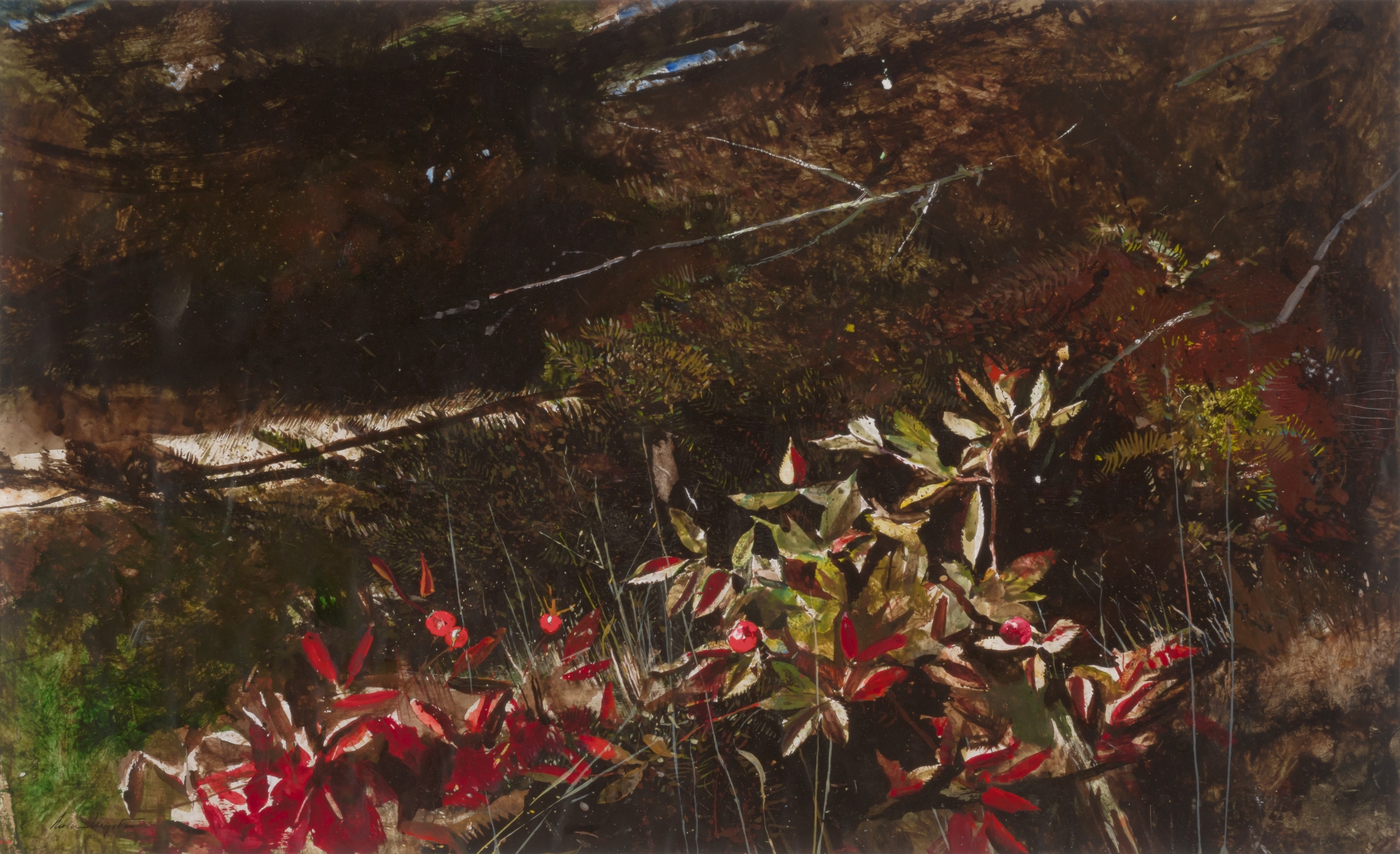 Rose Hips 1981.jpg