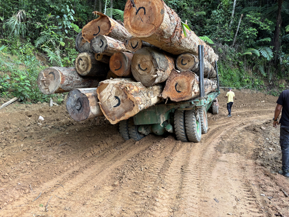 Logging truck in Malaysia_ Credit_ The Morton Arboretum (small).jpg