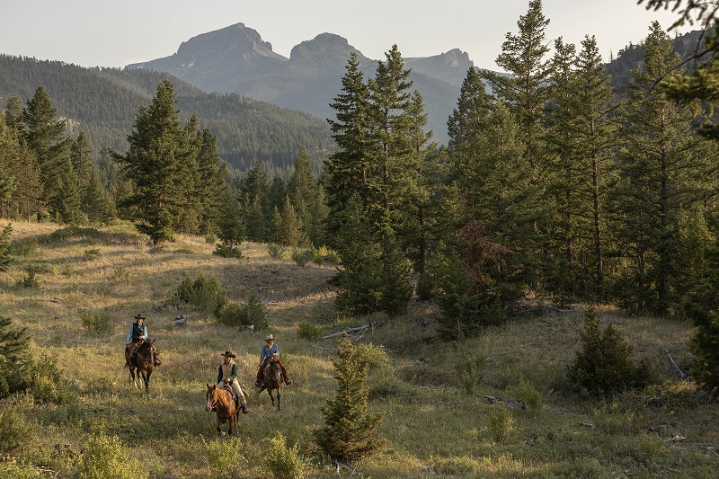 Horseback Riding 3 - Scott T Baxter.jpg