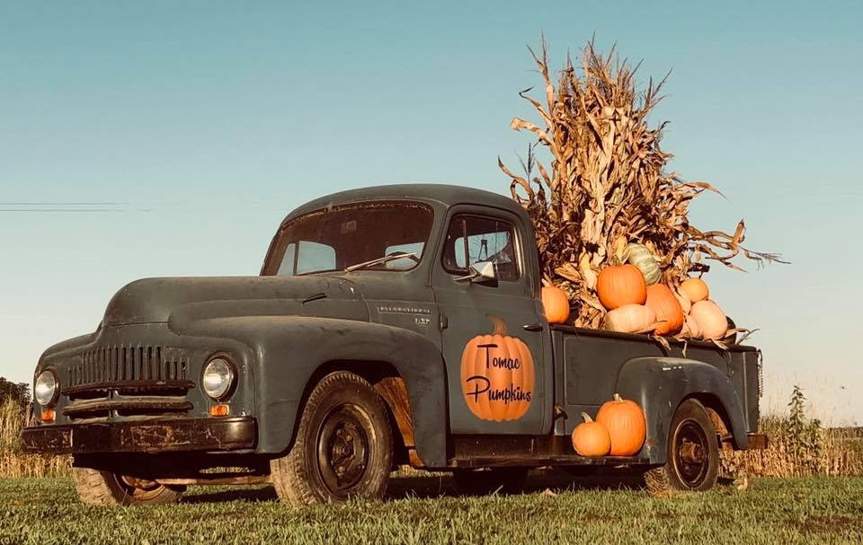 Tomac Pumpkins Truck.jpg