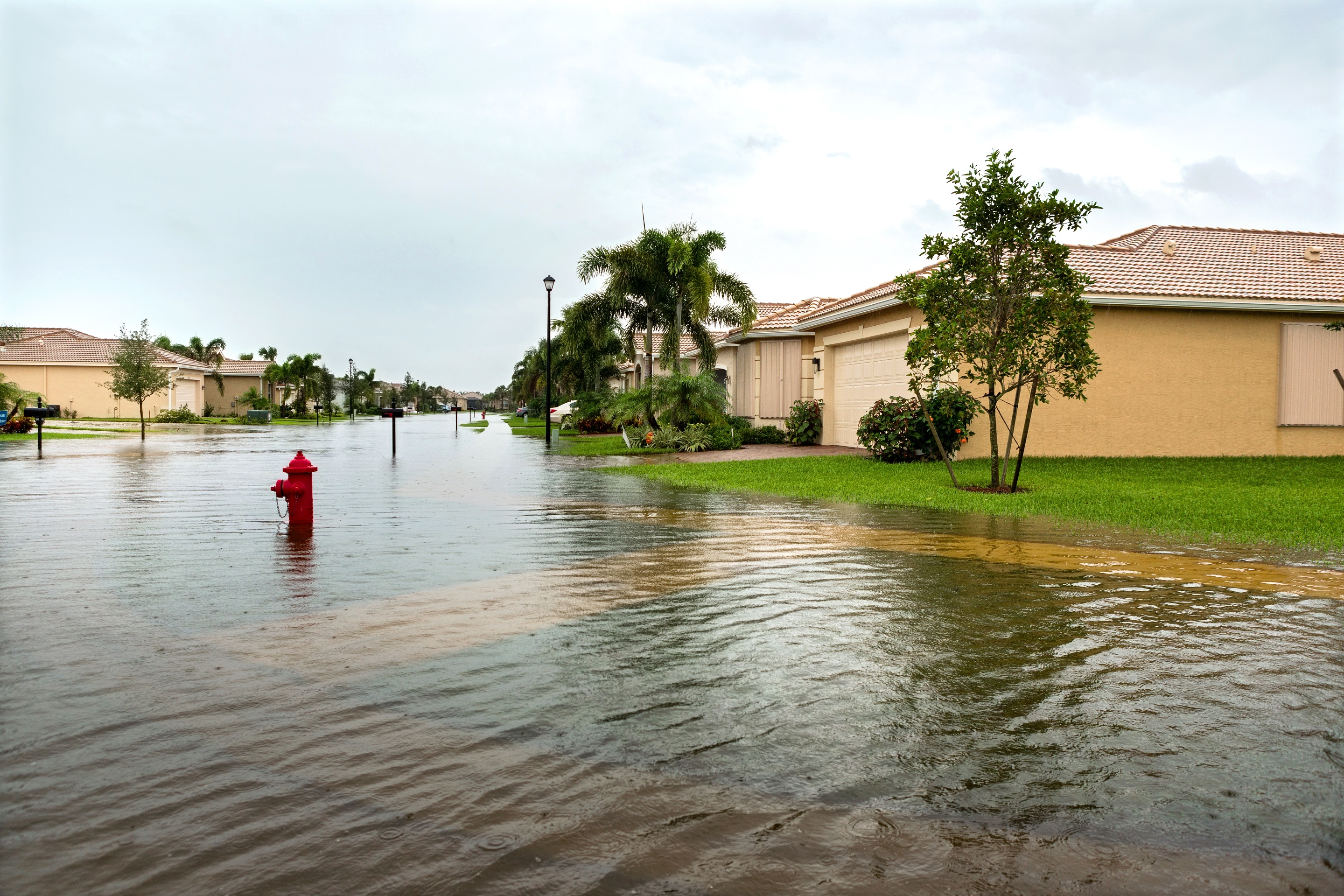 Flooded Neighborhood.jpg