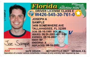 florida-driver-license-300x189.png