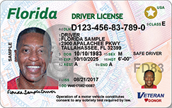front-new-driver-license.png