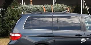 Christmas Tree Image.jpg