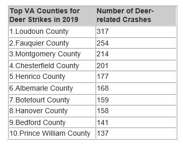 Rise in deer-related crashes in Virginia prompts warning to drivers