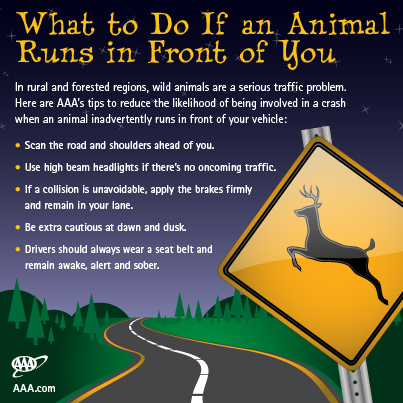 Animal-Crossings-Infographic1.jpg